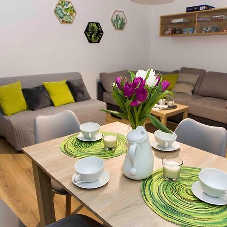 Apartament Grapa Zywiec Luaran gambar